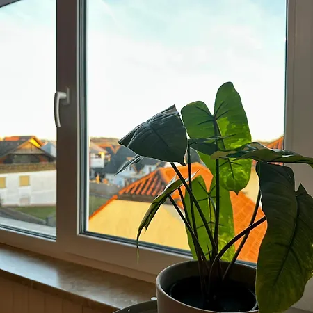 Lumi Living * Schlüsselfeld