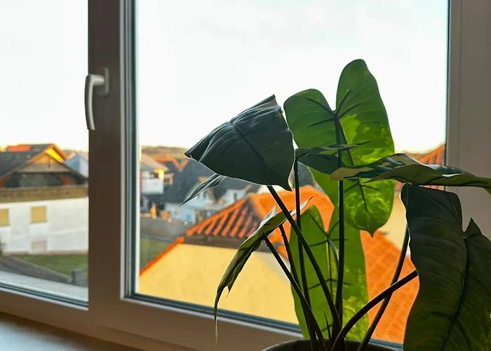 Lumi Living * Schlüsselfeld